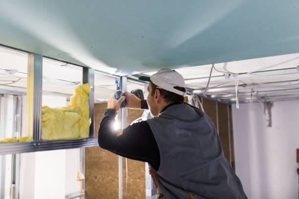 Types of Insulation We Offer in Hawaiian Gardens, CA