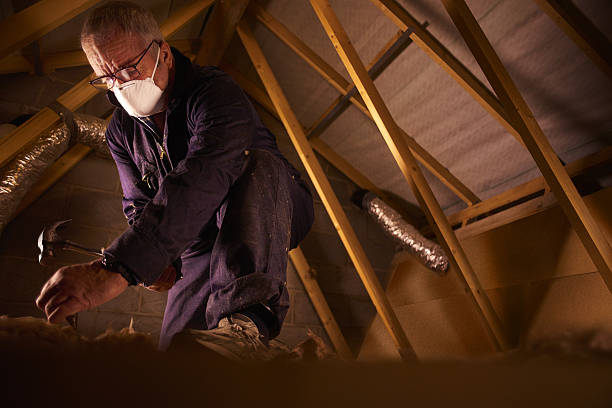 Best Eco-Friendly Insulation in Hawaiian Gardens, CA